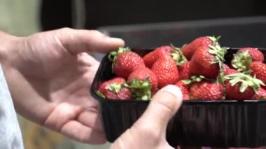Beyaz adamın eli taze olgun meyvelerle dolu bir kutudan çilek alır. Gıda arka planı, üst görünüm, doğal ışık