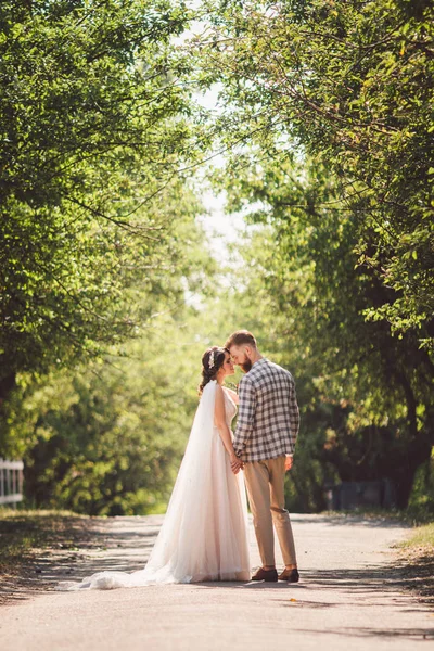 Brudgummen omfamnar glad brud solnedgång soligt väder. Glada nygifta som står tillsammans i trädgården. tema bröllop porträtt och vackra bröllop vit klänning. bröllop par kram och kyss utomhus — Stockfoto