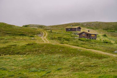 Dağdaki ahşap kulübeler Norveç 'i geçiyor. Tipik İskandinav çim çatı evleri olan Norveç manzarası. Dağ köyü, küçük evleri ve vadide çimleri olan ahşap kulübeleri var.