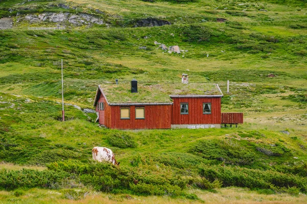 Colibă colibe de munte din lemn în trecere de munte Norvegia. Peisaj norvegian cu case tipice de acoperiș din iarbă scandinavă. Sat montan cu case mici și cabine din lemn cu iarbă pe acoperiș în vale — Fotografie, imagine de stoc