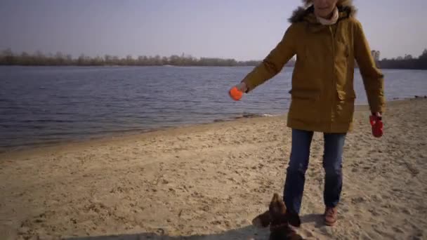 Zwierzęta na parkingu, miłośnik psów na spacerze. Dorosła, starsza kobieta rasy kaukaskiej z trzema psami hoduje jamniki i rękami zabawki terrier. właściciel bawi się z pies piłka na plaży w pobliżu zbiornika jeziora rzeki w słoneczny — Wideo stockowe