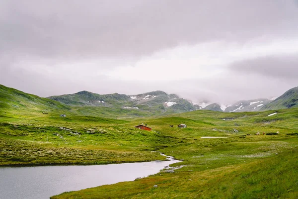 Casa de verano de madera noruega con vistas al lago escénico, Noruega, Escandinavia. Casa de campo junto al lago en Rural. Cabaña cubierta de turba en el lago. Típica cabaña cubierta de hierba en Noruega. Cabaña de pesca típica de rorbu rojo — Foto de Stock