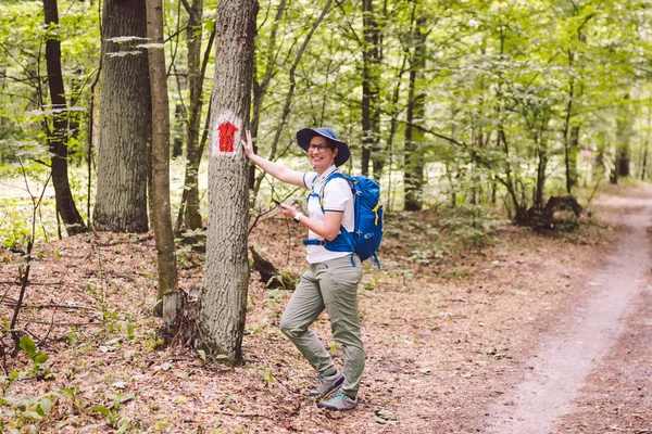 Hiking marked trail in the forest. Marking the tourist route painted on the tree. Touristic route sign. Travel route sign. Tourist hiker with backpack navigation uses smart phone