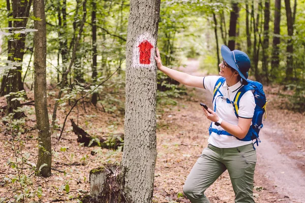 Ormanda yürüyüş izleri var. Ağaçtaki turist rotasını işaretliyorum. Turistik yol tabelası. Seyahat yolu tabelası. Sırt çantalı bir turist gezgini akıllı telefon kullanır
