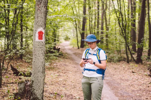 Hiking marked trail in the forest. Marking the tourist route painted on the tree. Touristic route sign. Travel route sign. Tourist hiker with backpack navigation uses smart phone