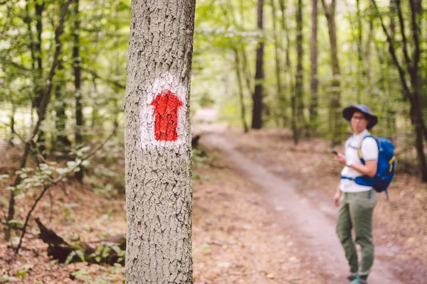 Túrázás jelölt nyomvonal az erdőben. A fára festett turistaút megjelölése. Idegenforgalmi útvonal tábla. Utazási útvonal tábla. Turista túrázó hátizsák navigáció használ okostelefon — Stock Fotó