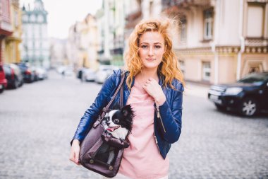 Chihuahua köpeği evcil hayvan torbasında taşındı. Şeffaf evcil hayvan taşıyıcısında şirin bir köpek. Beyaz bir kadın sokakta hayvan taşıyan bir çanta tutuyor. Küçük köpeğin sahibi hayvanlar için bir taşıyıcı ile seyahat eder.