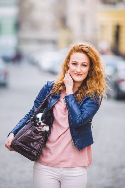 Chihuahua köpeği evcil hayvan torbasında taşındı. Şeffaf evcil hayvan taşıyıcısında şirin bir köpek. Beyaz bir kadın sokakta hayvan taşıyan bir çanta tutuyor. Küçük köpeğin sahibi hayvanlar için bir taşıyıcı ile seyahat eder.