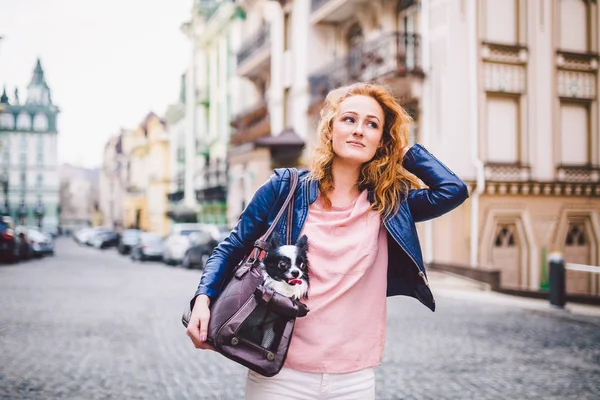 Propietario de mascotas utilizan Pet Travel Carrier dentro con un perro chihuahua. Bolsa de transporte de perros en el hombro de una mujer de pelo rojo caucásica en una ciudad europea. Viajar con tu mascota — Foto de Stock