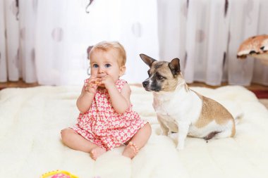 Komik küçük beyaz kız çocuk evde ışık halı katta sivilceli renk ve kısa saç ve komik büyük kulakları ile melez köpek en iyi arkadaşı oturur. Bebek kurabiye yiyor