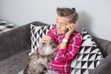 Tema eski kişi teknolojisini kullanır. Memnun sevinç gülümseme etkin gri saç beyaz kırışıklıkları kadın oturan ev oturma odası kanepe üzerinde kabarık kedi istimal hareket eden telefon, çağrı ve telefonu konuşurken Olgun