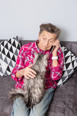 Tema eski kişi teknolojisini kullanır. Memnun sevinç gülümseme etkin gri saç beyaz kırışıklıkları kadın oturan ev oturma odası kanepe üzerinde kabarık kedi istimal hareket eden telefon, çağrı ve telefonu konuşurken Olgun