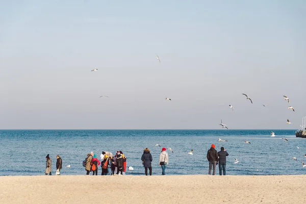 Польша Сопот Февраля 2020 Года Люди Пляже Сопоте Толпа Пляже — стоковое фото