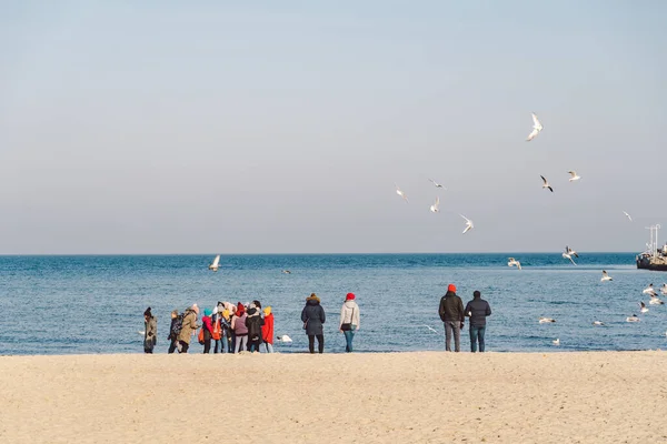 Poland Sopot February 2020 People Jogging Cold Beach Nordic Walking — Stock Photo, Image