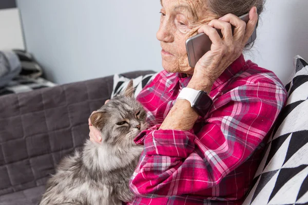 Θέμα παλιό πρόσωπο χρησιμοποιεί τεχνολογία. Ώριμη ευχαριστημένος χαρά χαμόγελο ενεργό γκρίζα μαλλιά Καυκάσιος ρυτίδες γυναίκα κάθεται σπίτι σαλόνι στον καναπέ με χνουδωτή γάτα χρήση κινητού τηλεφώνου, καλώντας και μιλάμε τηλέφωνο — Φωτογραφία Αρχείου