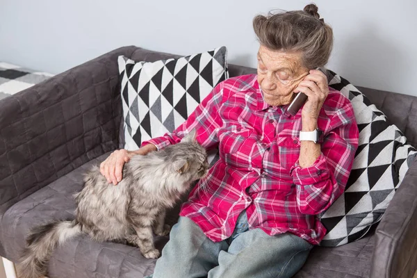 Тема пожилой человек использует технологии. Зрелая довольная радость улыбка активные седые волосы белые морщины женщина сидит дома гостиная на диване с пушистым котом с помощью мобильного телефона, звонка и говорящего телефона — стоковое фото