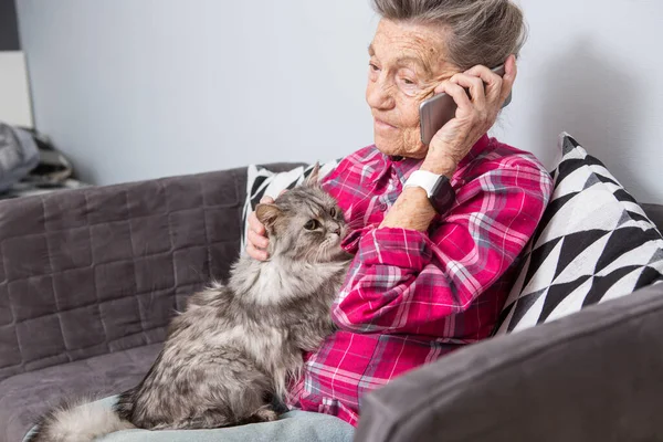 主题老人使用技术。成熟满足的喜悦微笑活跃的灰发白种人皱纹妇女坐在家里客厅的沙发上与蓬松的猫使用手机, 电话和会说话的电话 — 图库照片