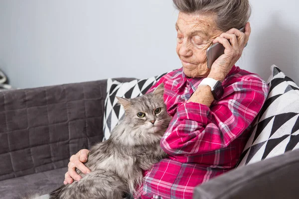 Theme old person uses technology. Mature contented joy smile active gray hair Caucasian wrinkles woman sitting home living room on sofa with fluffy cat using mobile phone, calling and talking phone