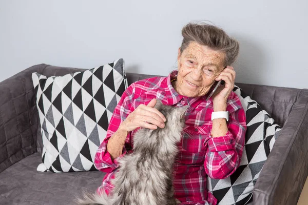 Theme old person uses technology. Mature contented joy smile active gray hair Caucasian wrinkles woman sitting home living room on sofa with fluffy cat using mobile phone, calling and talking phone