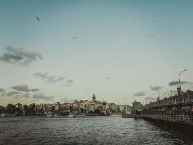 Türkiye 'ye git. Günbatımında Boğaz 'ın güzel manzarası. Panormama Galata Köprüsü 'ne, Galata Kulesi' ne ve birçok martıya bakıyor. İstanbul 'un kartpostal görüntüsü.