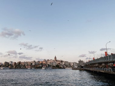 Türkiye 'ye git. Günbatımında Boğaz 'ın güzel manzarası. Panormama Galata Köprüsü 'ne, Galata Kulesi' ne ve birçok martıya bakıyor. İstanbul 'un kartpostal görüntüsü.