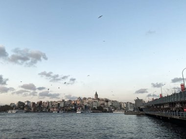 Türkiye 'ye git. Günbatımında Boğaz 'ın güzel manzarası. Panormama Galata Köprüsü 'ne, Galata Kulesi' ne ve birçok martıya bakıyor. İstanbul 'un kartpostal görüntüsü.