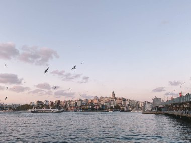 İstanbul 'daki İstanbul Boğazı' ndaki Galata Köprüsü ve Galata Kulesi. İstanbul birçok martıya ve bulutlu gökyüzüne sahiptir. Karaköy bölgesi ve Altın Boynuz.