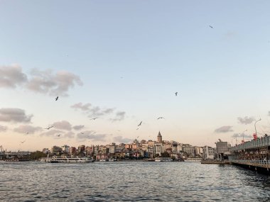 Türkiye 'ye git. Günbatımında Boğaz 'ın güzel manzarası. Panormama Galata Köprüsü 'ne, Galata Kulesi' ne ve birçok martıya bakıyor. İstanbul 'un kartpostal görüntüsü.