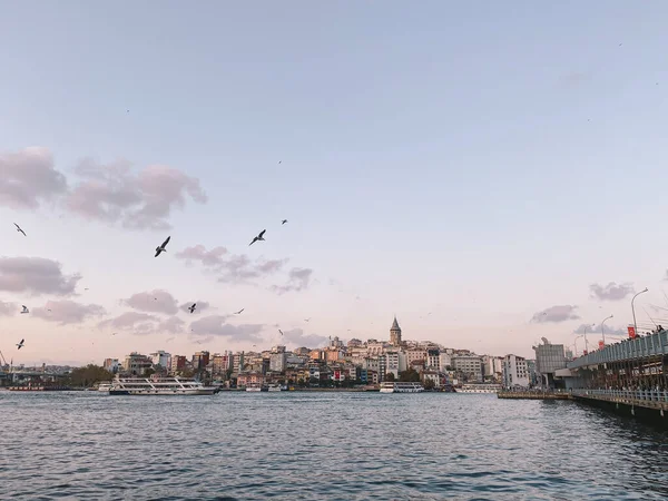 Most Galata Věž Galata Bosporu Istanbulu Turecku Istanbulský Výhled Mnoha — Stock fotografie