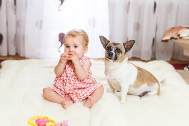 Komik küçük beyaz kız çocuk evde ışık halı katta sivilceli renk ve kısa saç ve komik büyük kulakları ile melez köpek en iyi arkadaşı oturur. Bebek kurabiye yemek ve bir evcil hayvan besleme.