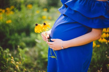 Hamile kadın mavi elbiseli sarı çiçekleri yeşil çayır arka planda yaz aylarında güneşli havalarda tutuyor
