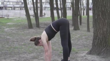 Genç beyaz bir kadın ağaçlık bir alanda amuda kalkar ellerini kütük ağacına yaslar. Sağlıklı Yaşam Tarzı Kadın Park Amudu. Sporcu akrobasi yapıyor.