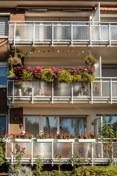 Traditional European residential house with balconys with colorful flowers and flowerpots. Facade of a residential building with well-kept loggias and balconies in sunny weather in Krefeld, Germany.