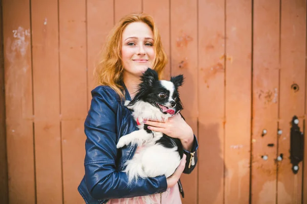 Young caucasian red-haired woman holding a dog of Chihuahua breed on her hands on a wooden background. The theme of love for animals, protection of pets, dog friend of man.