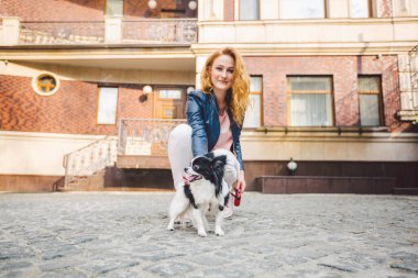 Şehir caddesinde köpeği olan bir kadın. Genç, kızıl saçlı, beyaz bir kadın Avrupa caddesinde iki renkli küçük bir Chihuahua köpeğiyle yürüyor. Chihuahua ile yürüyüş egzersizi..