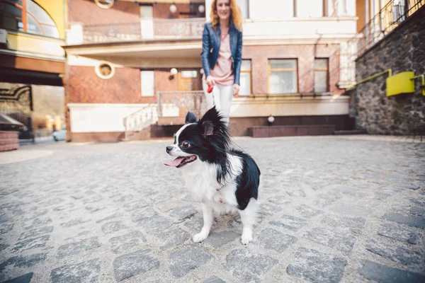 Femeie Mergând Câinele Strada Oraşului Tânără Femeie Caucaziană Roșcată Care — Fotografie, imagine de stoc