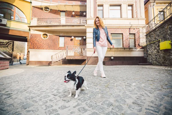 Kadın ve köpek. Dışarıda, mutlu. Tema, insan ve hayvanın arkadaşlığı. Chihuahua 'lı kız. Genç kadın ve köpeği Chihuahua sokakta yürüyorlar. Köpek tasmasını çekiyor..