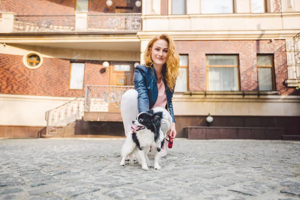 Woman walking with dog in city street. young redhaired Caucasian woman walking along European street with small Chihuahua breed dog of two colors on leash. exercise walking with Chihuahua.