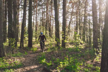 Kirlilik maskesi takan bisikletçi. Solunum cihazındaki 2.5 numaralı filtreyle parka bisikletle giden genç adam. Covid 19 Karantina Sporu. Dağ bisikletçisi ormanda bisiklet sürüyor. Bir patikada dağ bisikleti sürücüsü.