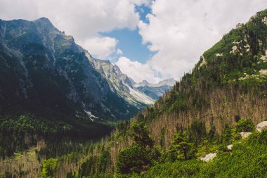Yazın gün doğumunda dağlar - Slovakya 'daki High Tatras manzarası