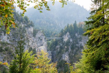Almanya 'da yeşil orman dağları ve kayaların manzarası 