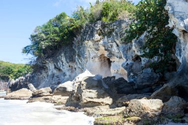 Kayalıklı sahil manzarası, beyaz kum ve ağaçlar, Macao plajı, Dominik Cumhuriyeti 