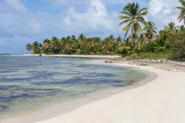 Kumlu sahil manzarası, beyaz köpük dalgaları, palmiye ağaçları, mavi gökyüzü, turkuaz su ve bulutlar, Dominik Cumhuriyeti 'nin cennet kıyıları. 