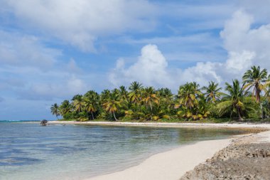 Kumlu sahil manzarası, beyaz köpük dalgaları, palmiye ağaçları, mavi gökyüzü, turkuaz su ve bulutlar, Dominik Cumhuriyeti 'nin cennet kıyıları. 
