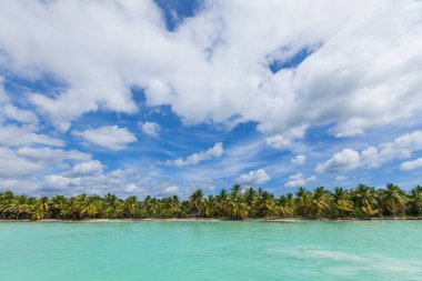Kumlu sahil manzarası, beyaz köpük dalgaları, palmiye ağaçları, mavi gökyüzü, turkuaz su ve bulutlar, Dominik Cumhuriyeti 'nin cennet kıyıları. 