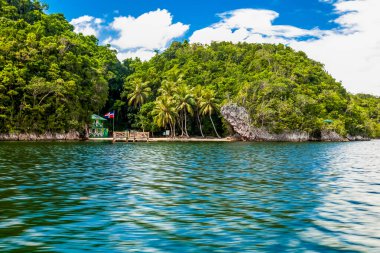 Kumlu sahil manzarası, beyaz köpük dalgaları, palmiye ağaçları, mavi gökyüzü, turkuaz su ve bulutlar, Dominik Cumhuriyeti 'nin cennet kıyıları. 