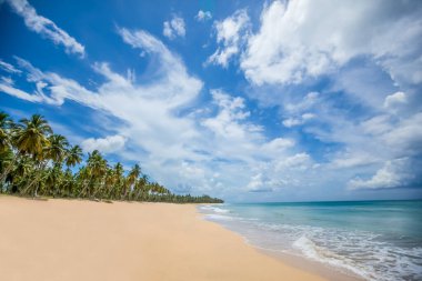 Kumlu sahil manzarası, beyaz köpük dalgaları, palmiye ağaçları, mavi gökyüzü, turkuaz su ve bulutlar, Dominik Cumhuriyeti 'nin cennet kıyıları. 