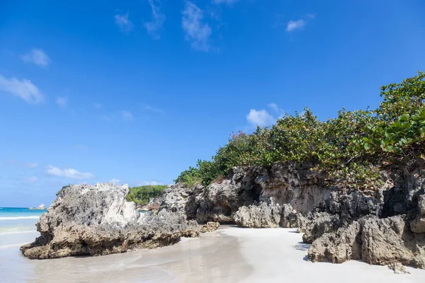 Paisaje Playero Con Rocas Arena Blanca Árboles Playa Macao República —  Fotos de Stock