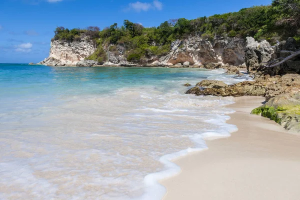 Παραλία Τοπίο Βράχια Λευκή Άμμο Και Δέντρα Μακάο Παραλία Δομινικανή — Φωτογραφία Αρχείου