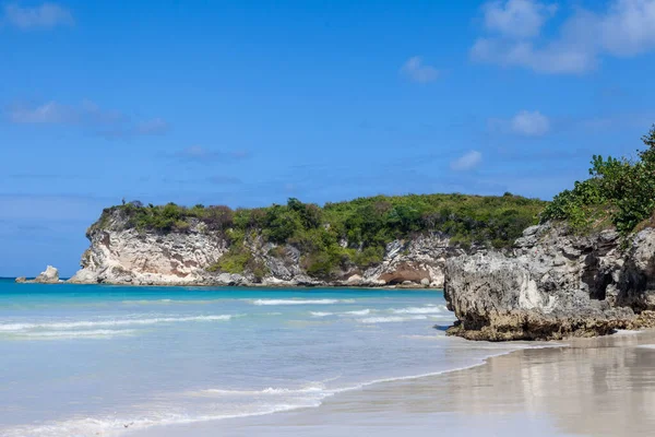 Paisaje Playero Con Rocas Arena Blanca Árboles Playa Macao República —  Fotos de Stock